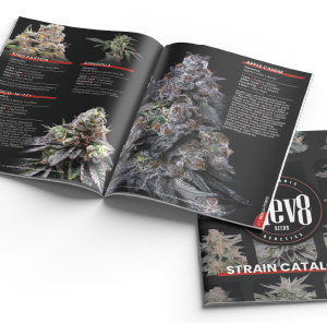 Elev8 Catalog