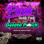 Gelato Punch - 1080x1080