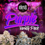Purple Variety Pack