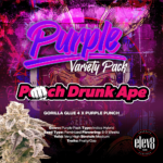Purple Variety - Punch Drunk Ape