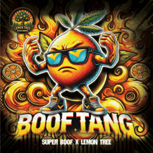 Boof Tang