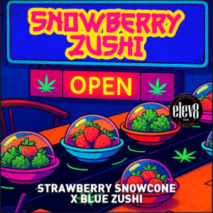 Snowberry Zushi