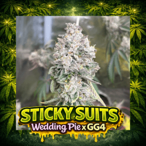 Sticky Suits