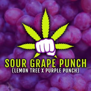 Sour Grape Punch