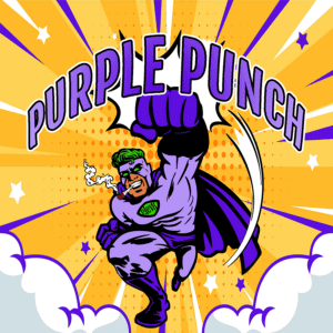Purple Punch S1